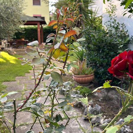La Casa Di Gemma B&B Villa Vomano Kültér fotó