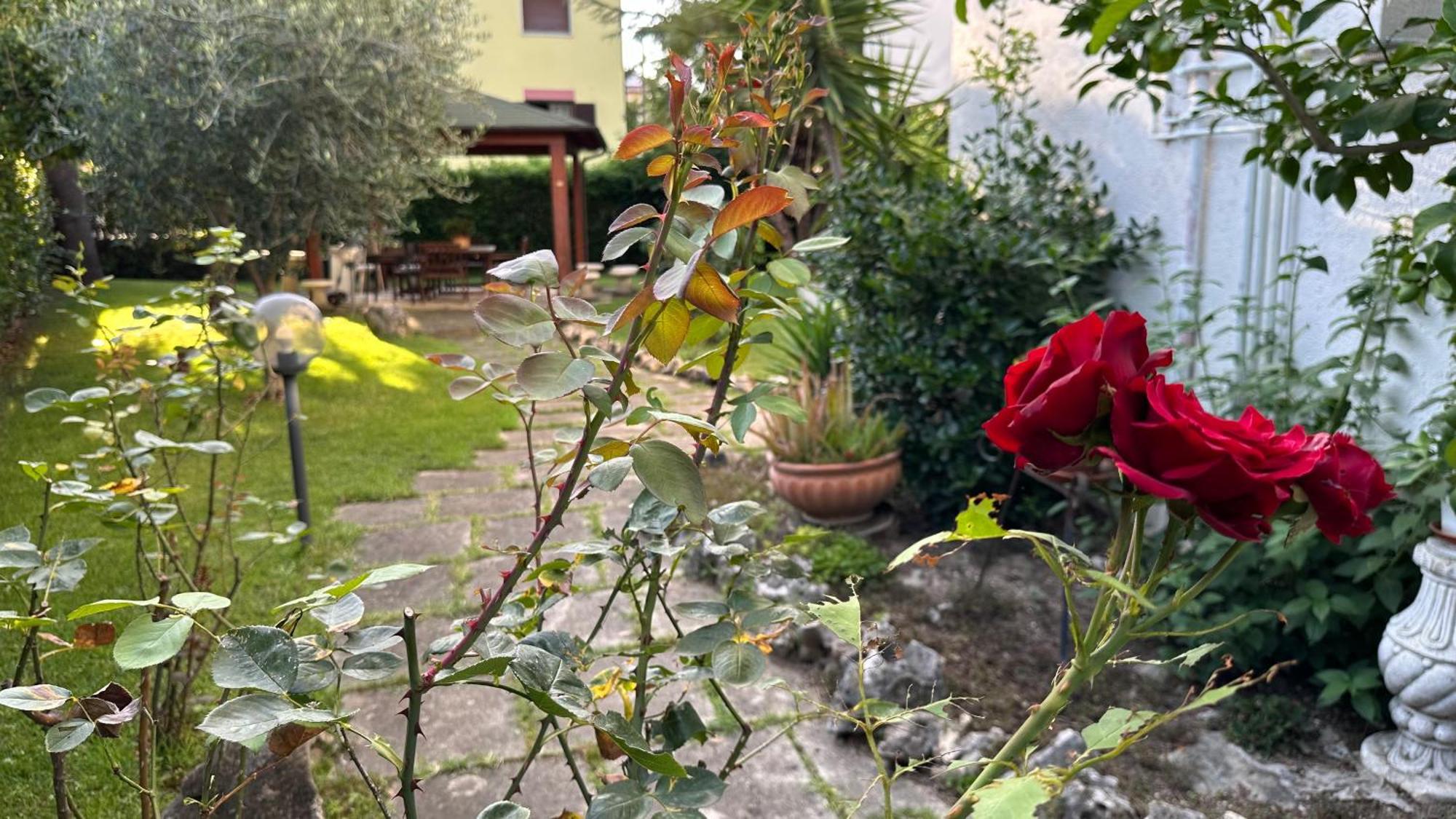 La Casa Di Gemma B&B Villa Vomano Kültér fotó